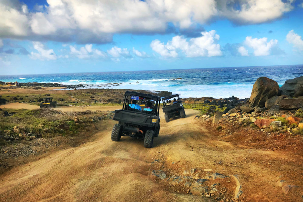 Emerging Trends in the ATV and UTV Market Growth