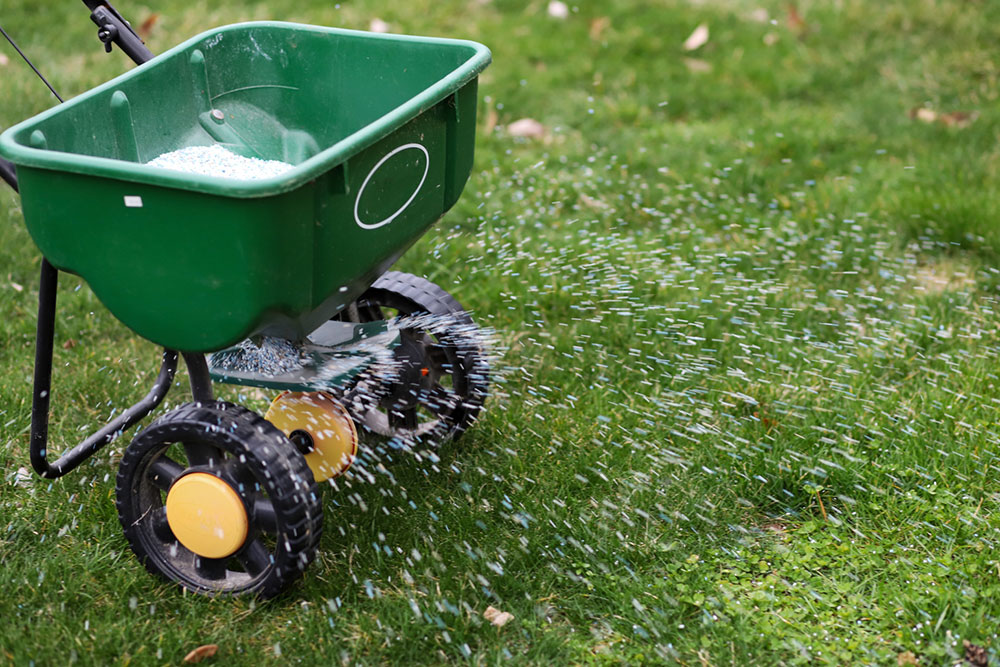 Essential Tips for Fertilizing Your Bermuda Grass Lawn
