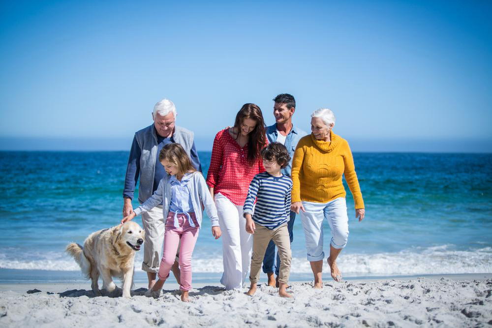 Top Pet-Friendly Cottages for an Ideal Family Getaway