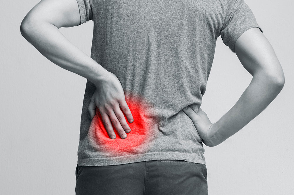 Essential Insights into Kidney and Liver Health and Diseases