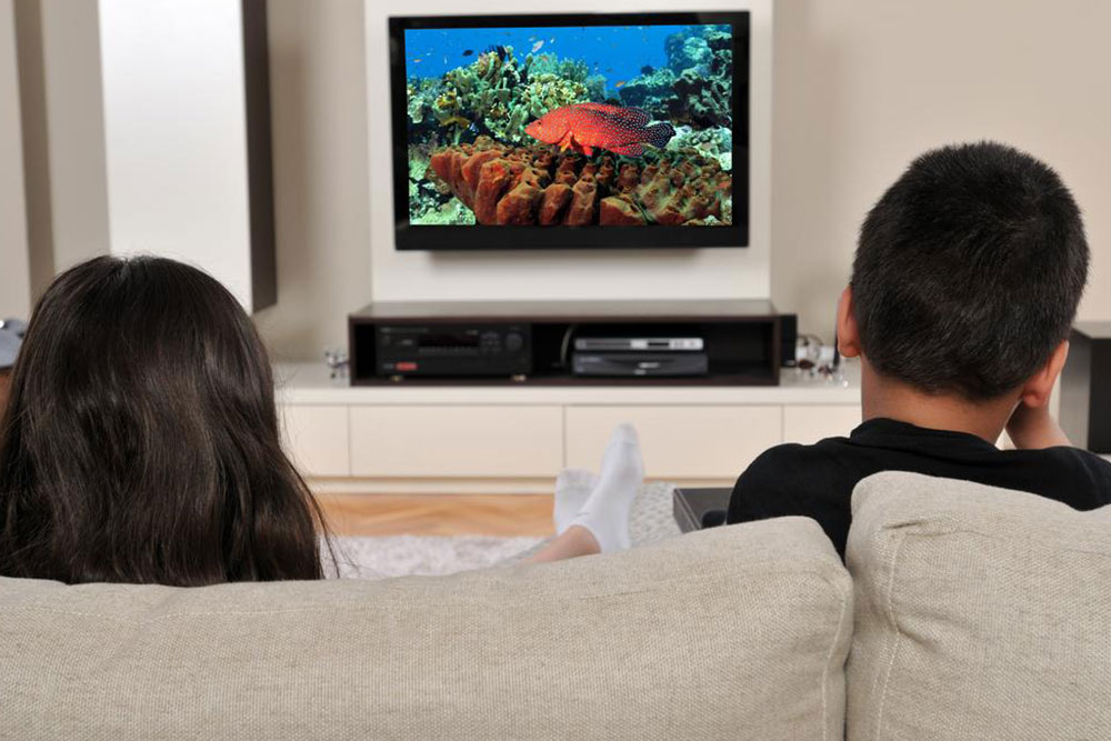 Smart Strategies for Choosing the Perfect TV Subscription