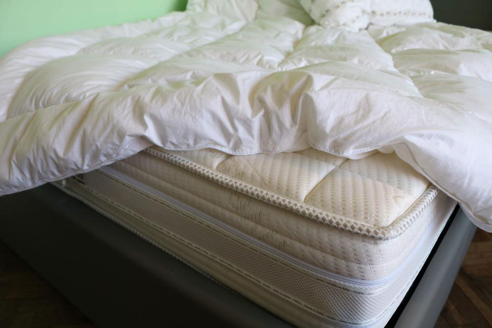 Ultimate Guide to Buying the Best Sears Mattresses for Restful Sleep