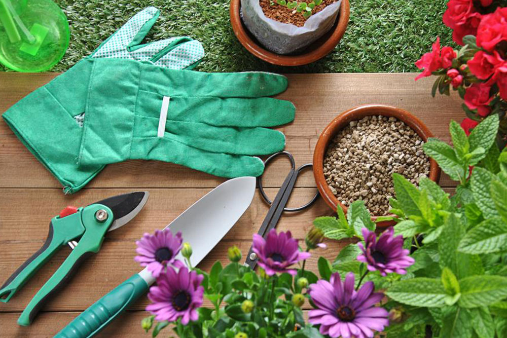 Essential Gardening Tools for Effortless Garden Maintenance