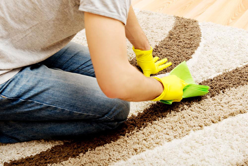Benefits of Choosing Berber Carpets for Your Flooring