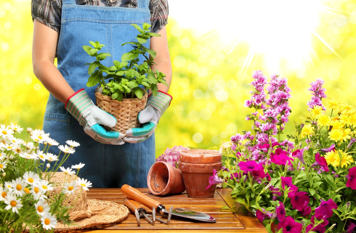Creative Tips for Compact Home Flower Gardens