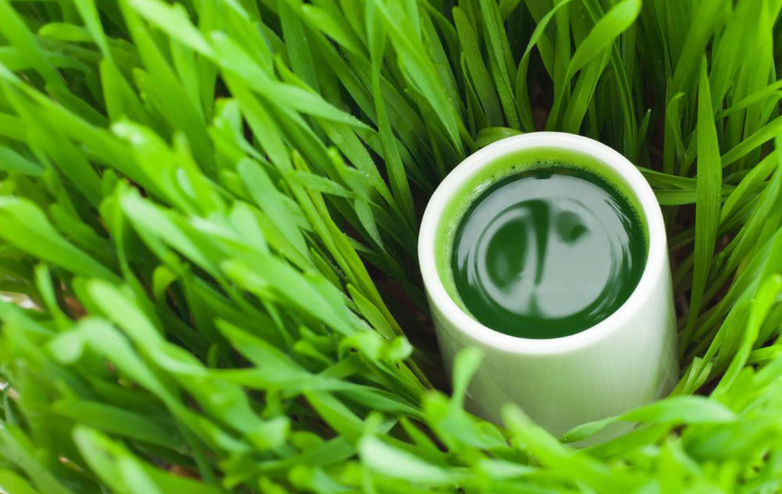 Natural Strategies to Slow Aging and Maintain Youthful Skin