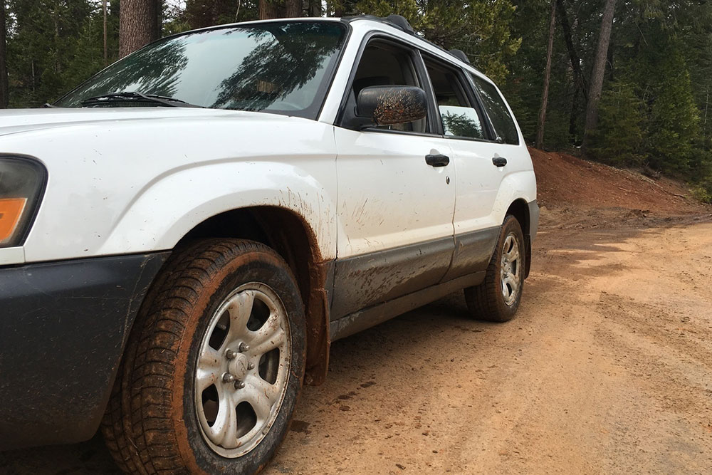 Essential Features Making the Subaru Forester Stand Out