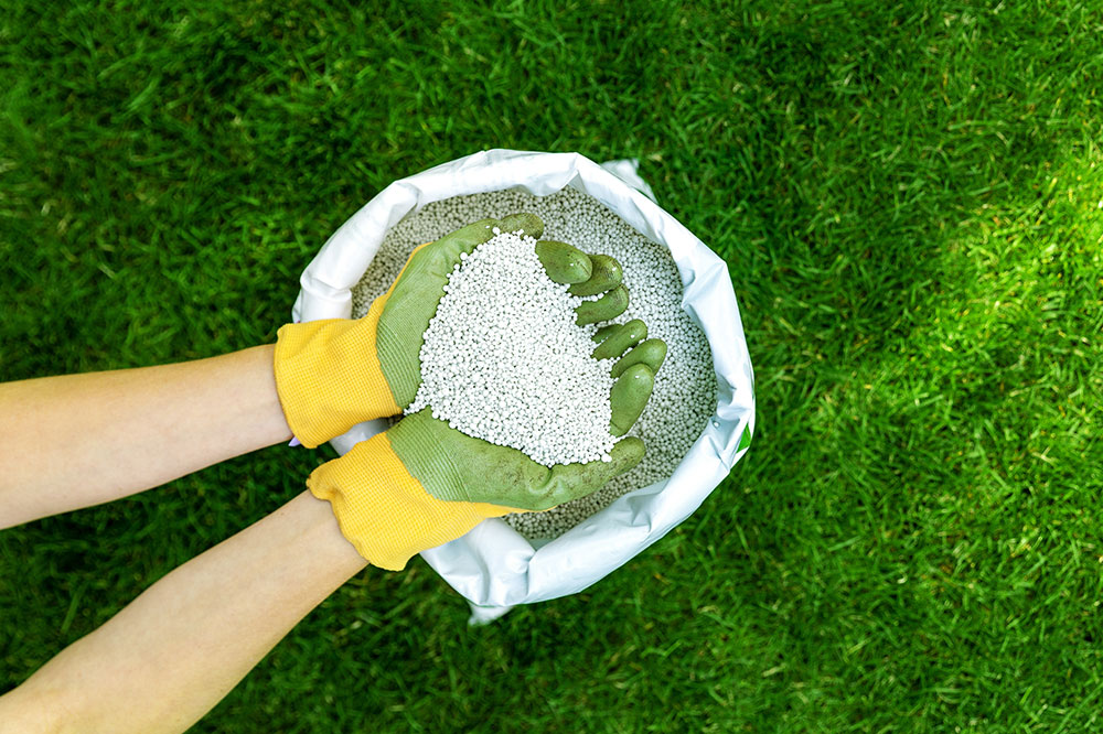 Ultimate Guide to Lawn Feeding and Care