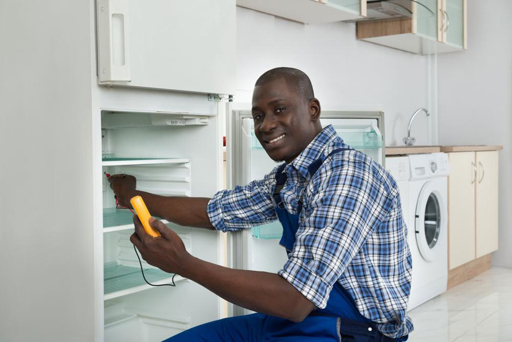 Effective Refrigerator Maintenance Tips to Reduce Energy Expenses