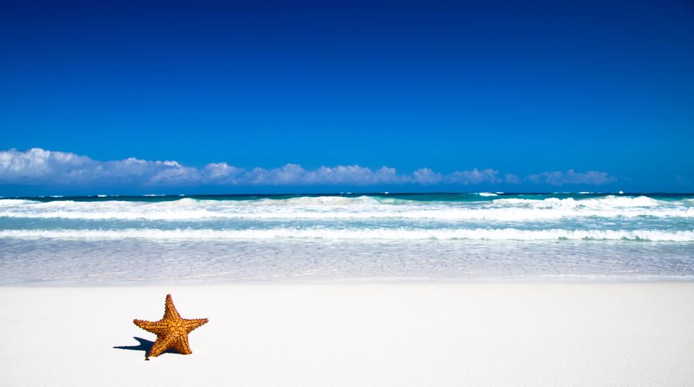Top 7 Stunning Powdery Beaches You Must Explore