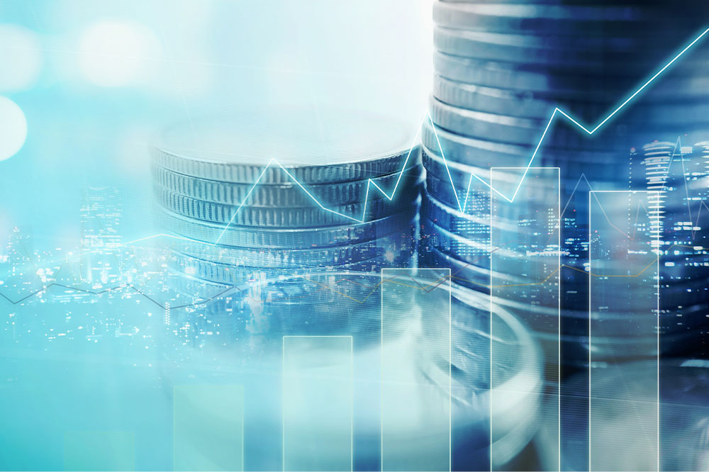 Top 12 Vanguard Investment Funds for Long-Term Growth