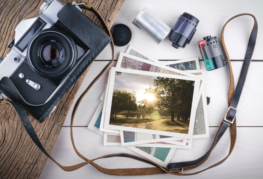 Affordable Cameras for Hobbyists and Professional Photographers