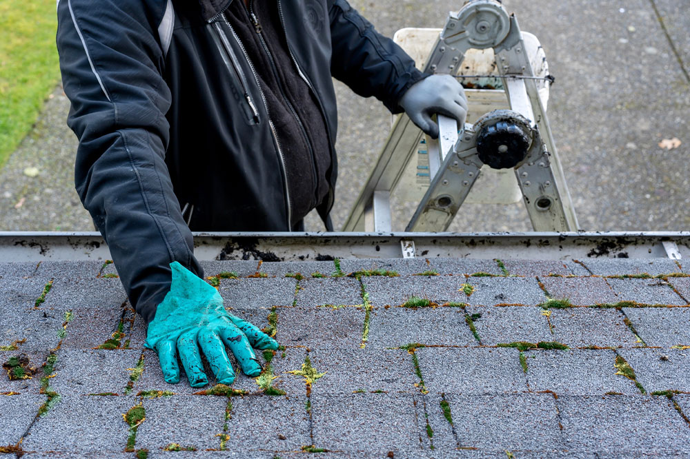 Simple Homemade Solutions to Remove Roof Moss Effectively