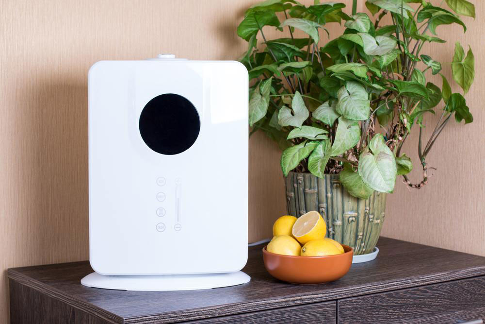 Top 5 Indoor Air Purifiers for Clean Air at Home