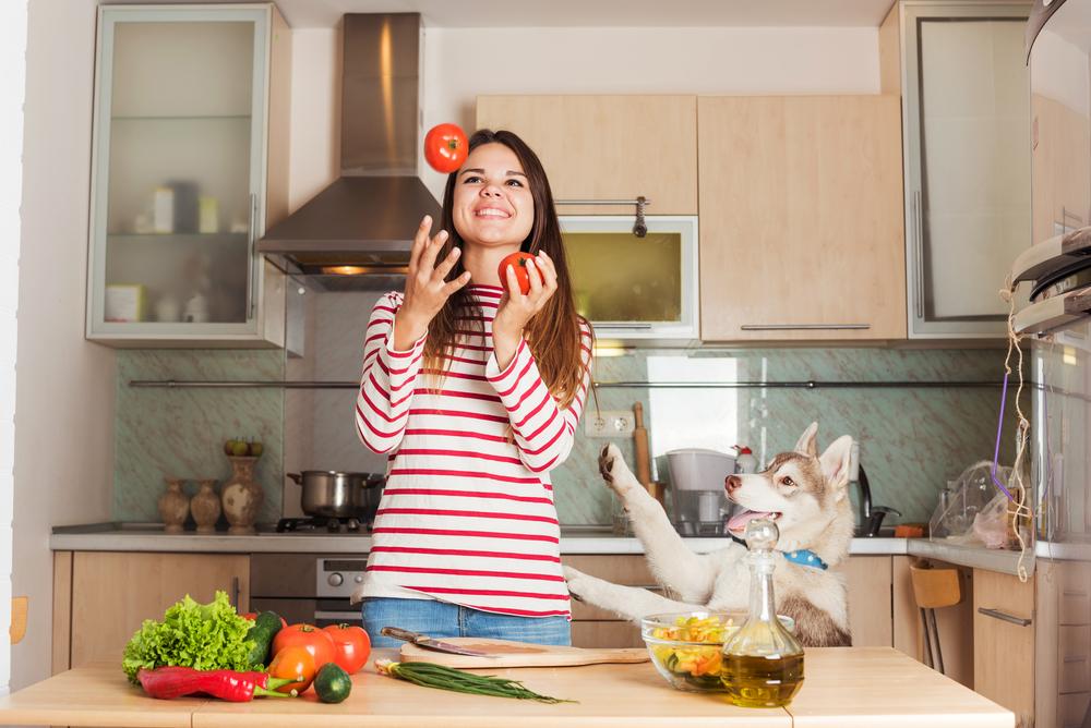 Top 10 Nutritious Dog Foods Your Pet Will Adore