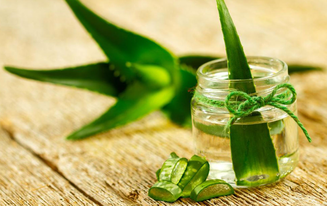 Top Holistic Approaches to Support Bone Marrow Cancer Management