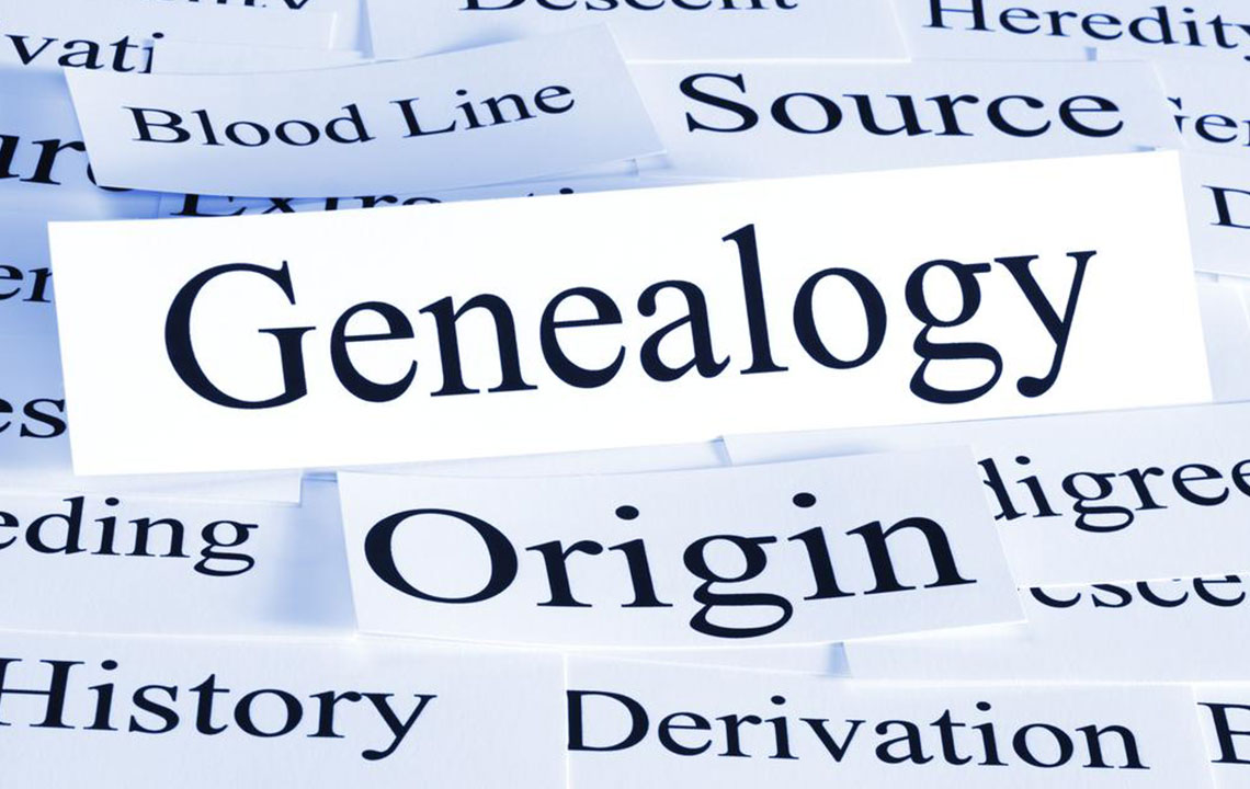 A Guide to Using Court Records for Genealogical Research
