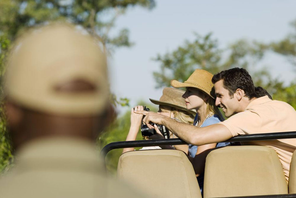 Essential Guide for Your First African Safari Adventure