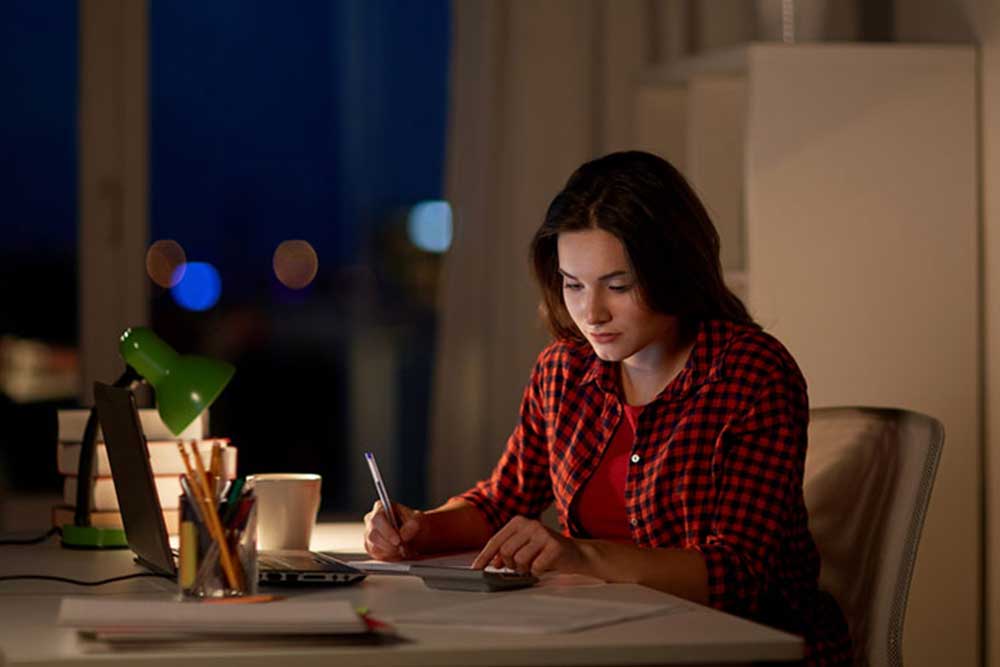 Best Online Master's Programs in Accounting for Professionals