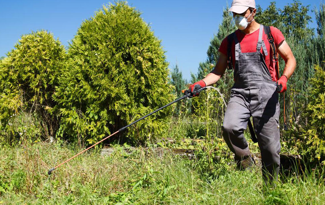 Essential Safety Tips for Removing Weeds in Your Garden