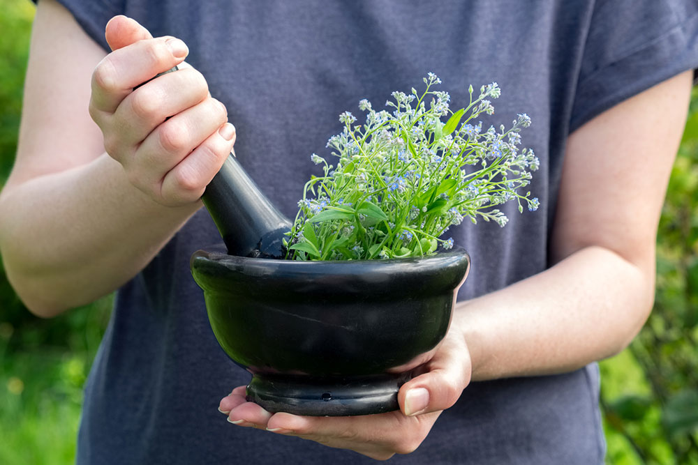 How to Cultivate Fresh Herbs Indoors Using Water