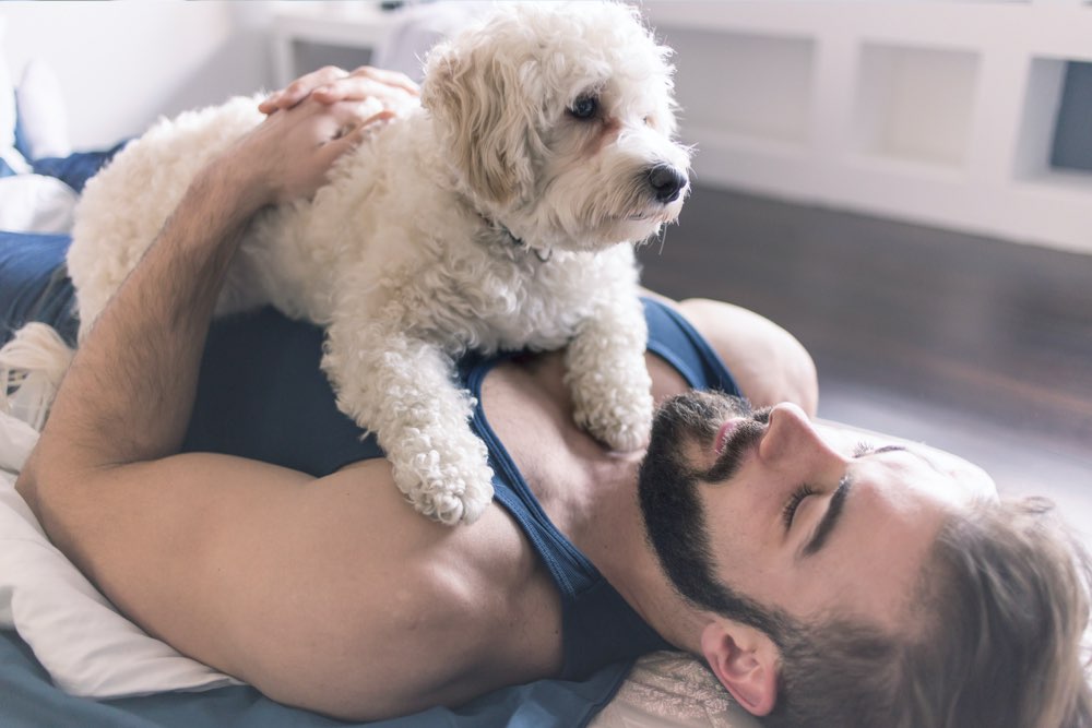 Understanding Emotional Support Animals and How to Obtain One