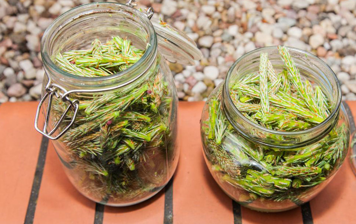 Top Natural Home Remedies to Treat Yeast Infections