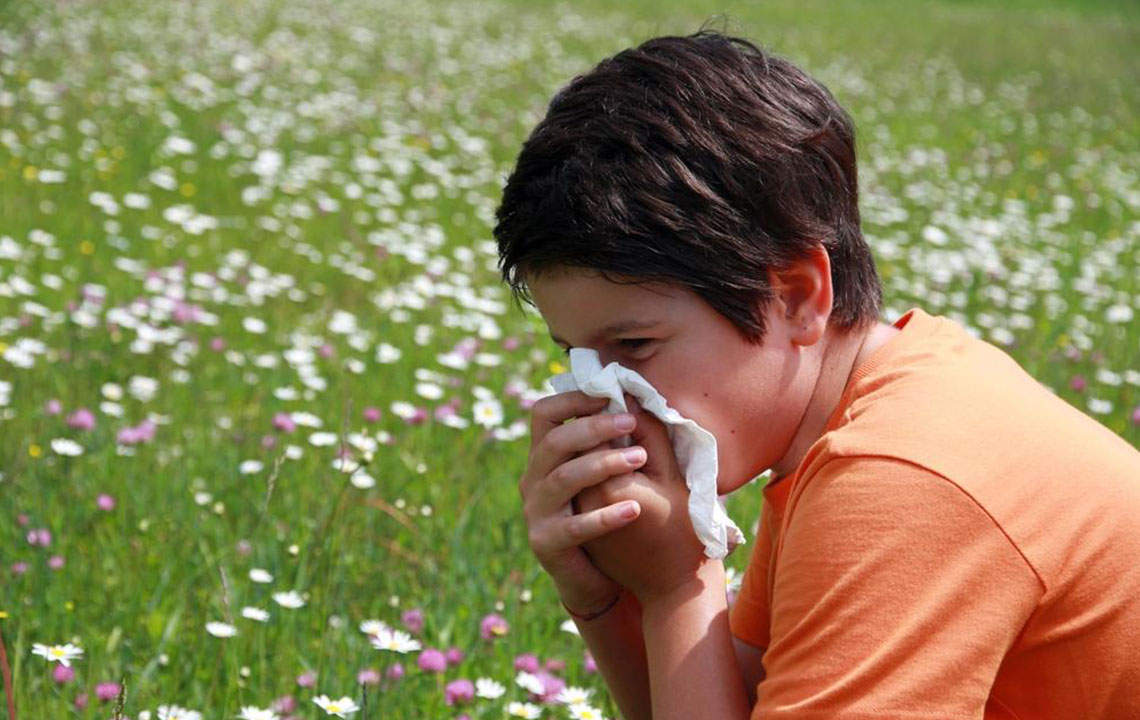 Comprehensive Guide to Identifying and Managing Mold Allergy Symptoms Effectively
