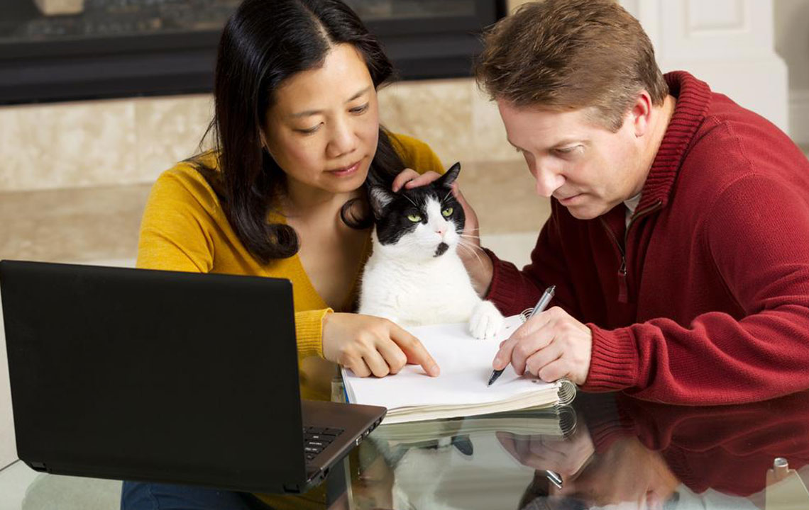 Essential Guide to Top Pet Insurance Plans You Should Know