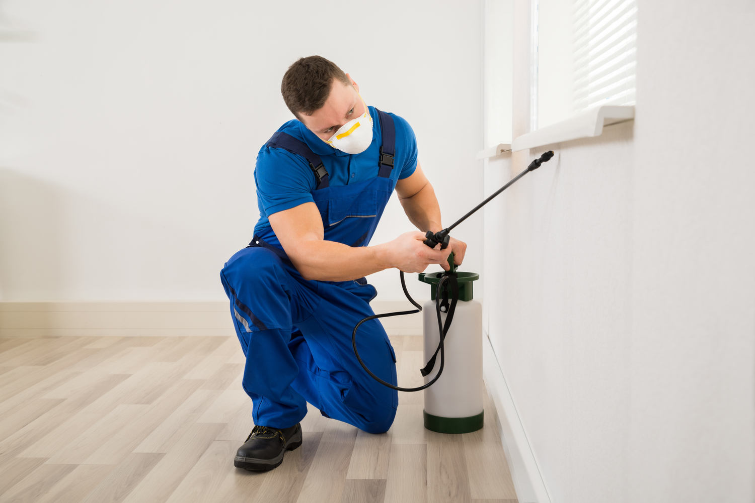 Pest Management - Types, Pricing, and Top Providers