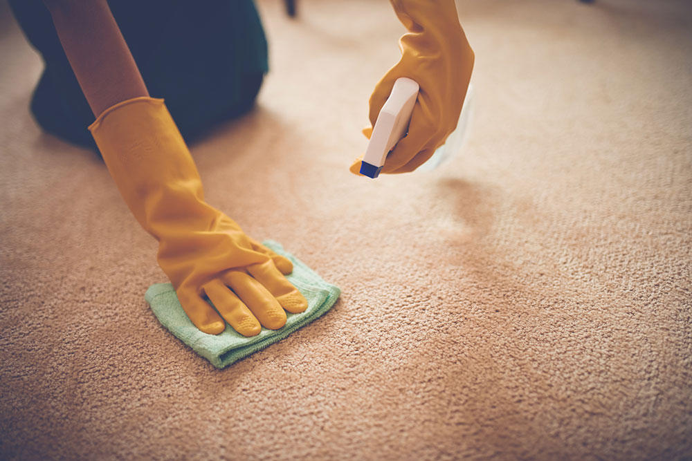 Top Carpet Stain Removal Solutions for a Spotless Home