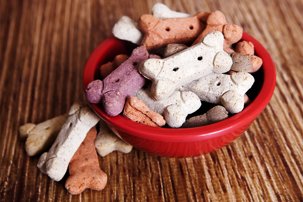 Top 5 Premium Dry Dog Food Brands for Optimal Canine Nutrition