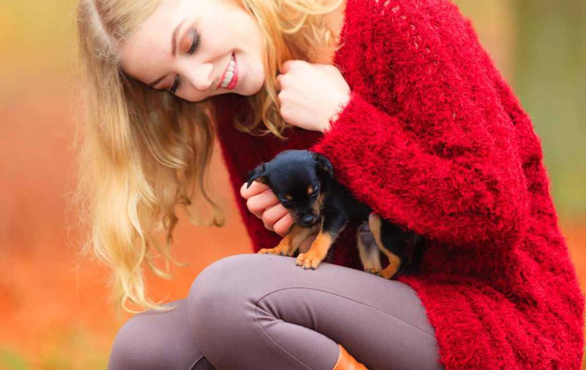 Top Trusted Places in the U.S. for Pet Adoption