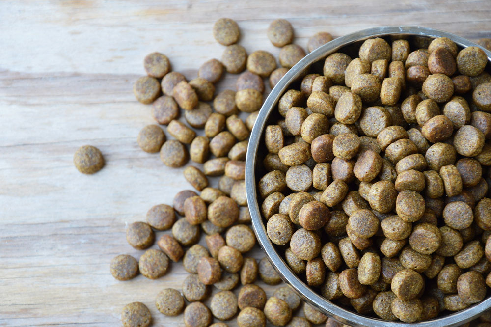 Top Brands for Quality Pet Products You Should Know