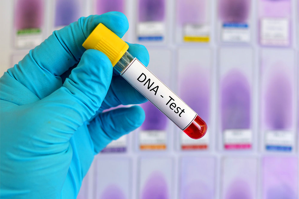 Comprehensive Overview of DNA Analysis: Techniques, Procedures, and Practical Uses
