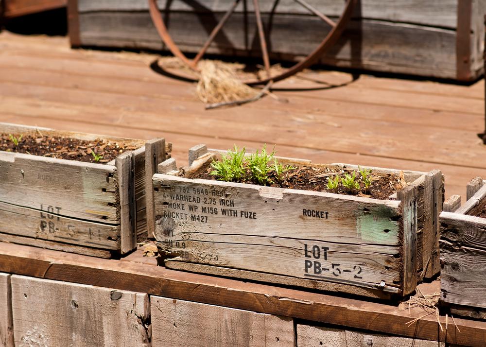Guide to Crafting a Wooden Flower Bed