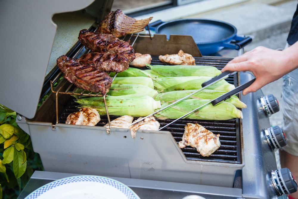 Ultimate Guide to Beginner-Friendly Weber Gas Grills for Effortless Backyard Cooking