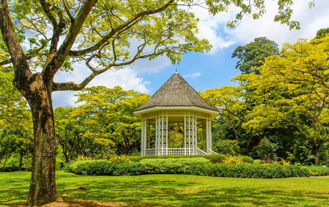 Top 6 Unique Outdoor Gazebo Designs to Elevate Your Garden