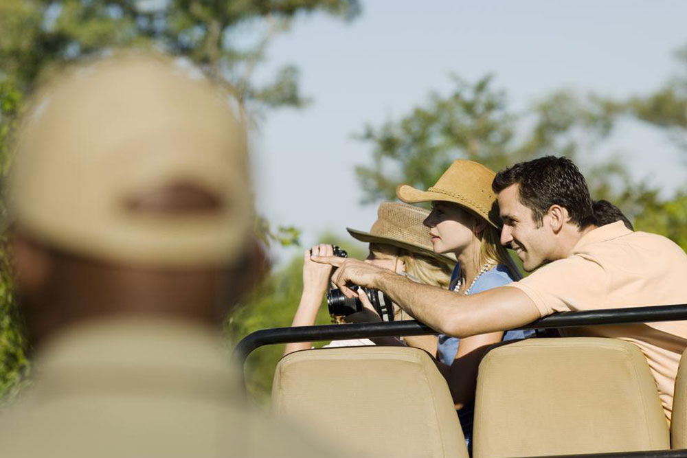 Top 6 Must-Experience African Safari Tours
