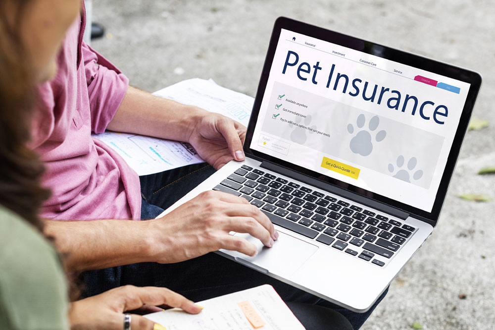 Why Pet Insurance Is Essential for Your Furry Friends