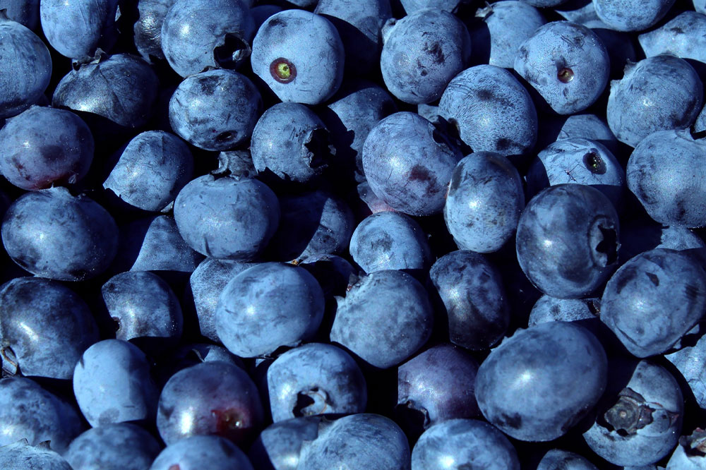 Natural Nutrients That May Help Protect Against Skin Cancer
