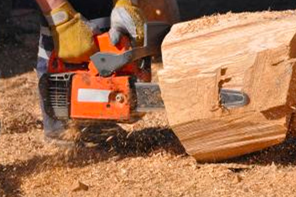 Professional Tree Cutting and Removal: Advantages, Pricing, and Tips
