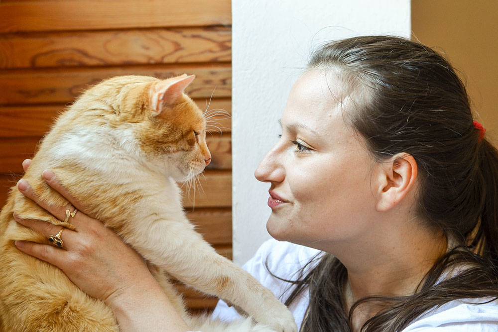 Key Factors to Consider Before Adopting a Pet