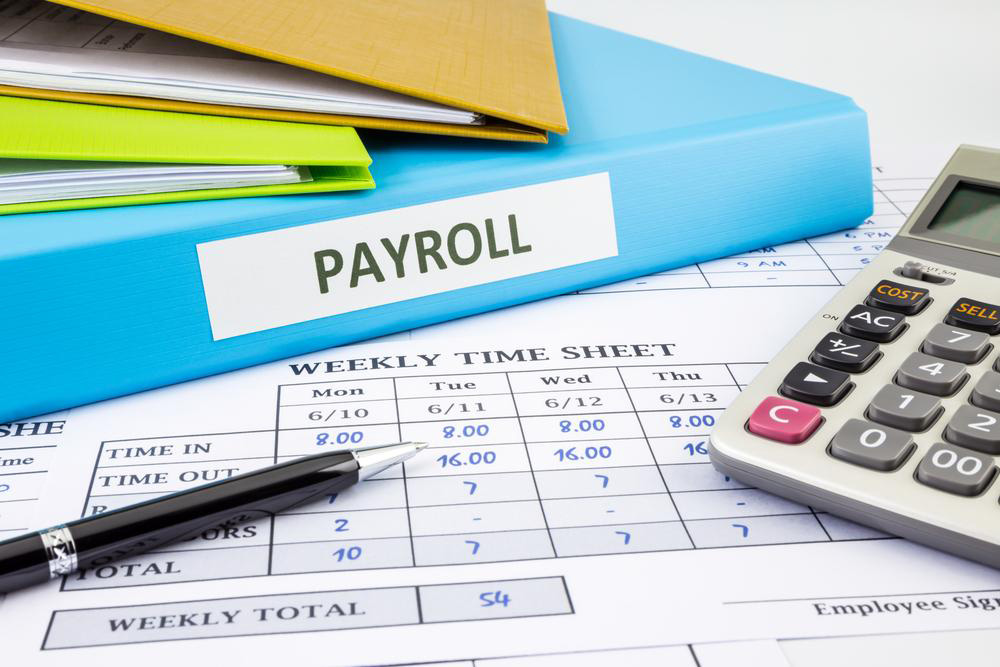 Understanding the Key Elements of Your Payroll Check