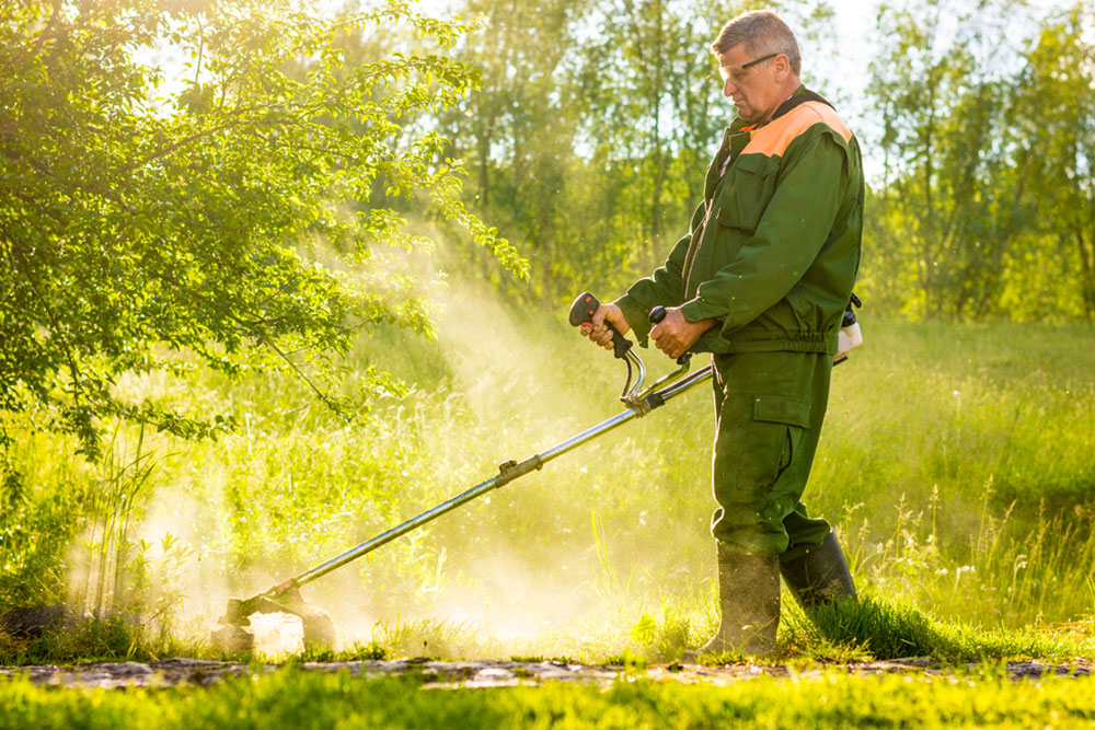 Essential Tips for Choosing the Right Brush Cutter