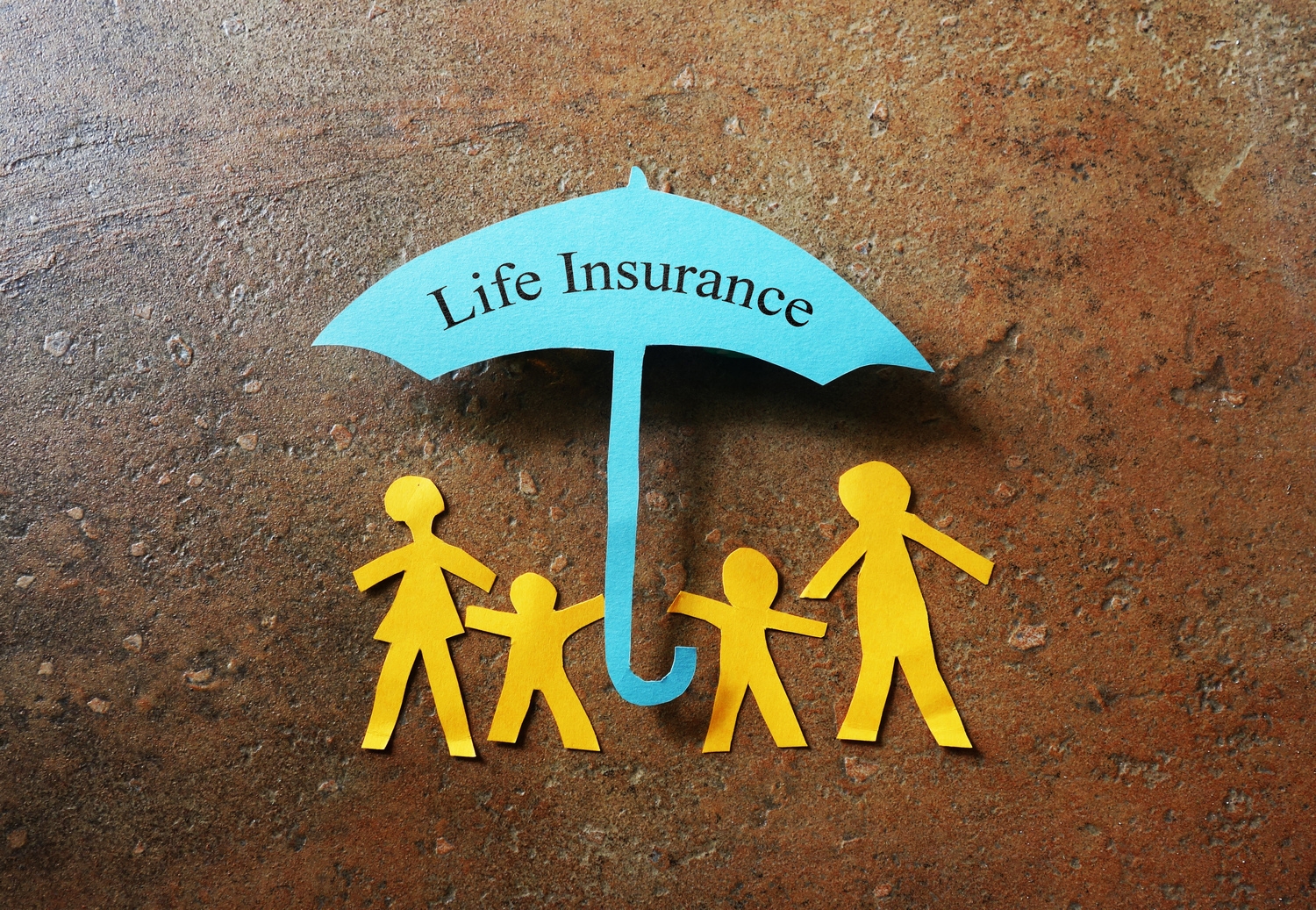 Guide to Life Insurance Providers in India: Keys to Secure Your Future