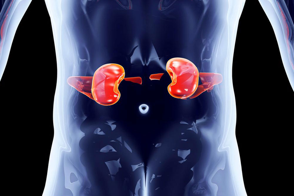 Proactive Strategies to Avoid Kidney Health Issues