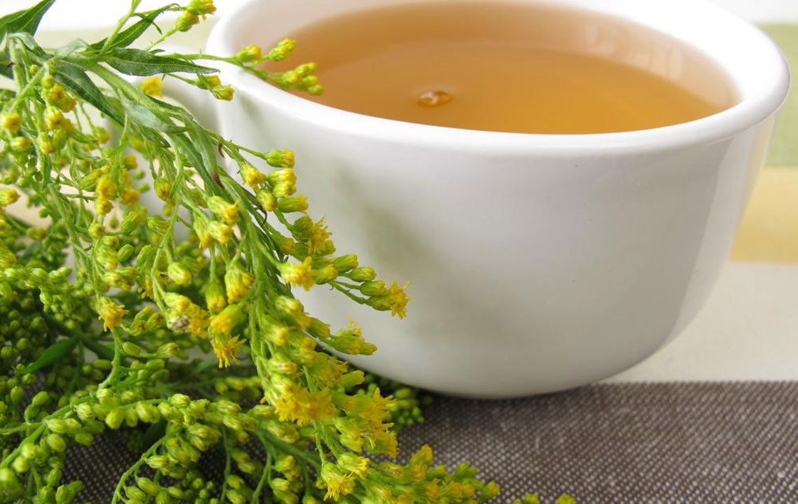Top Strategies for Managing Urinary Bladder Infections