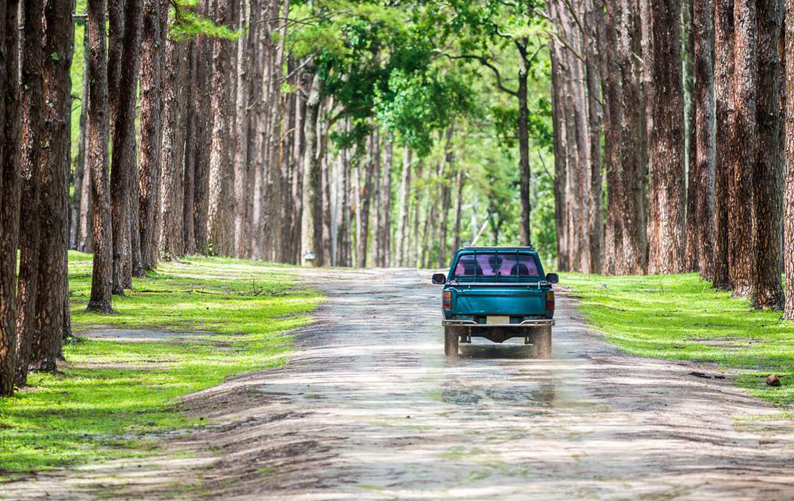 Your Ultimate Guide to Choosing the Perfect Chevrolet Pickup Truck
