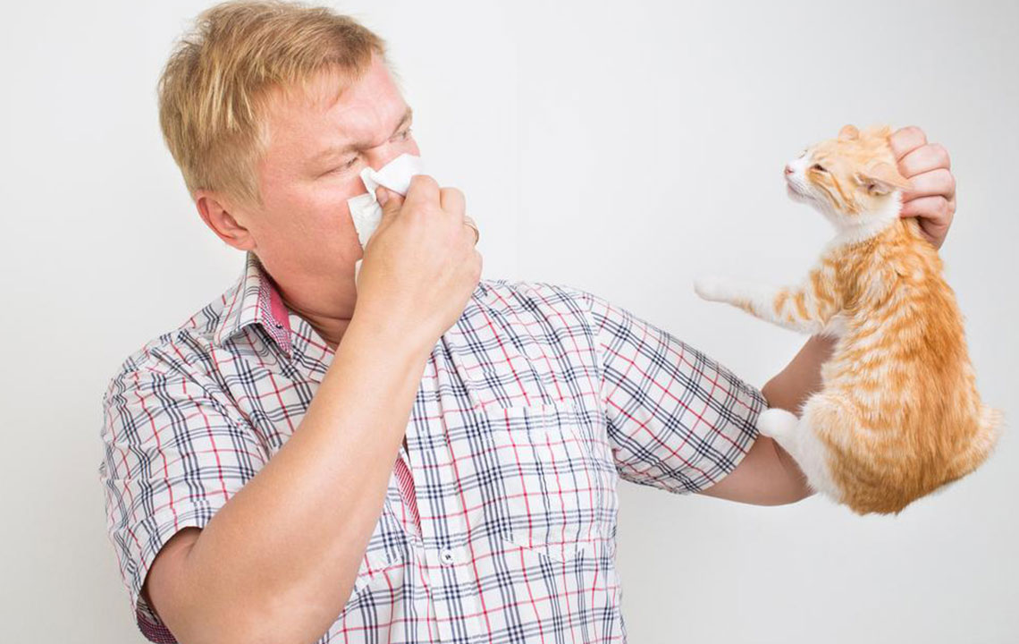 How to Recognize and Manage Pet Allergy Symptoms